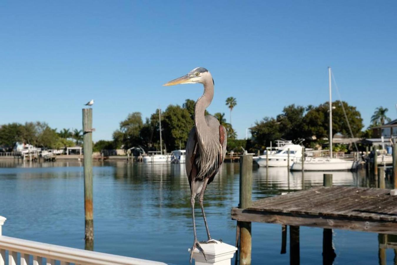 Villa Tranquility-Waterfront-Punta Gorda, Fl Εξωτερικό φωτογραφία